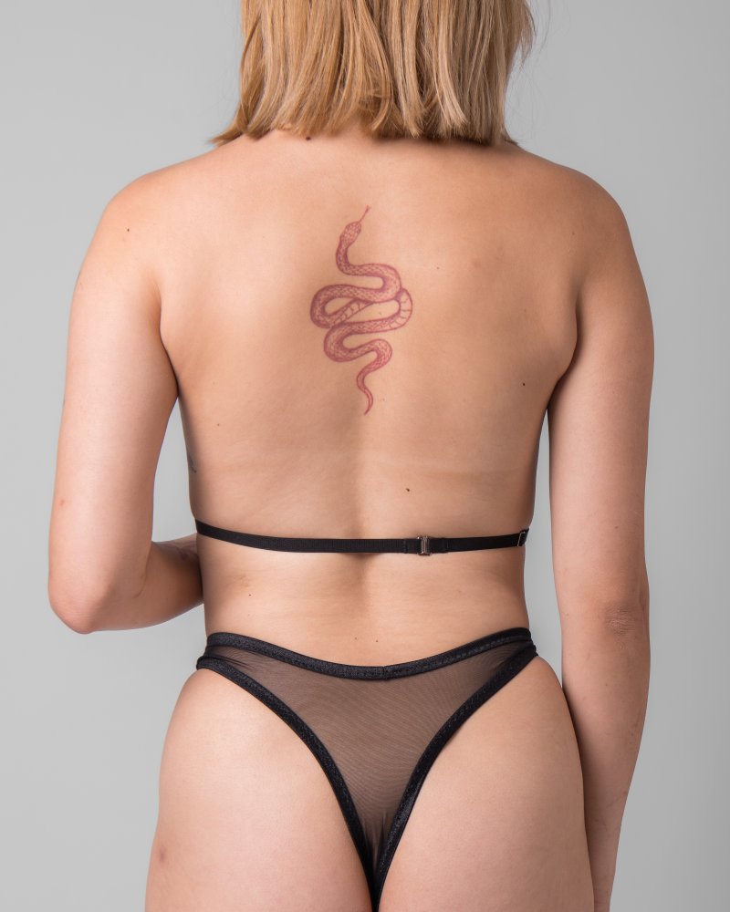 Basic Harness Top